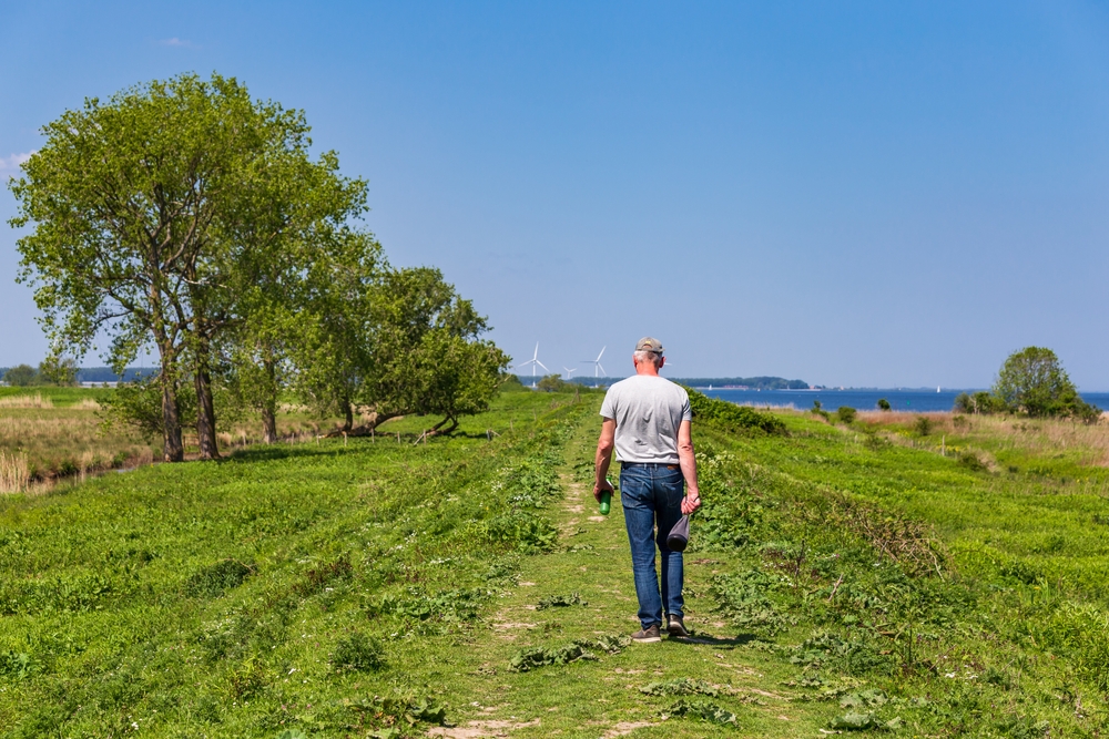 Wandelen in de Hoeksche Waard